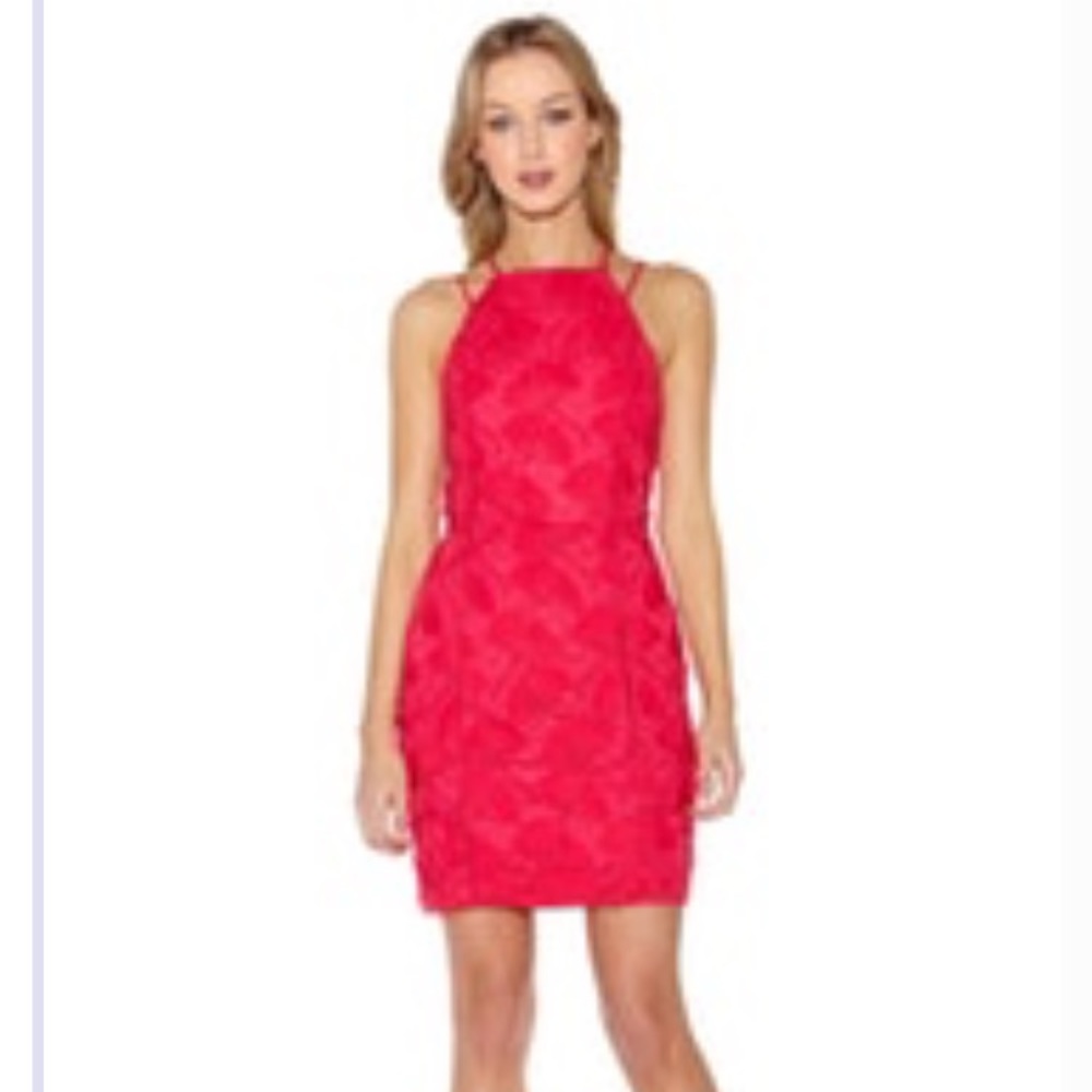 Greylin Lace Dress